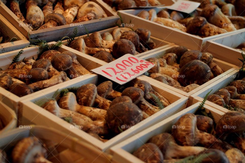 food mushrooms healthy food fungi by Petalskull