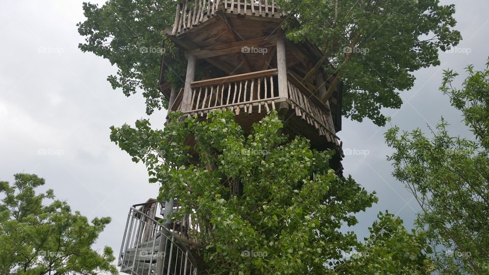 Baumhaus. Ein Haus auf dem Baum