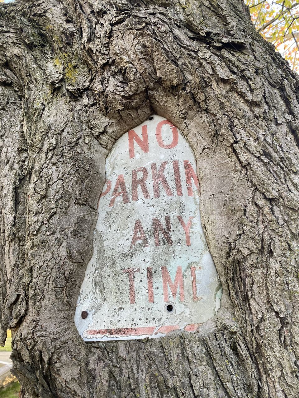 No parking sign