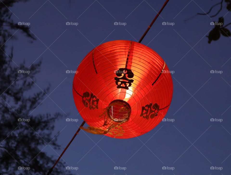 Chinese lantern