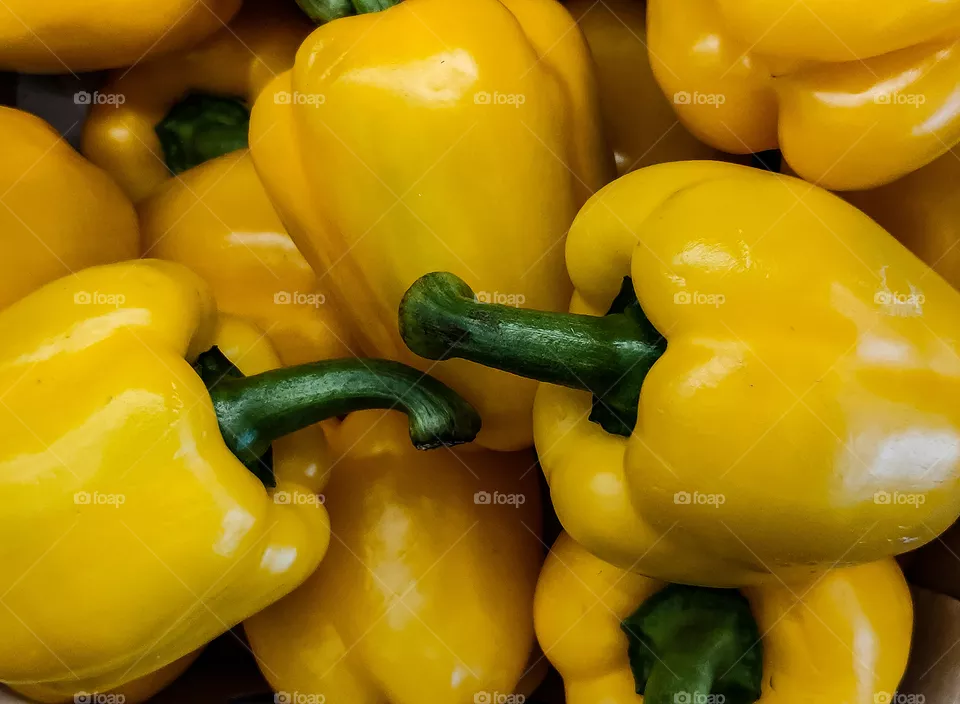 capsicum