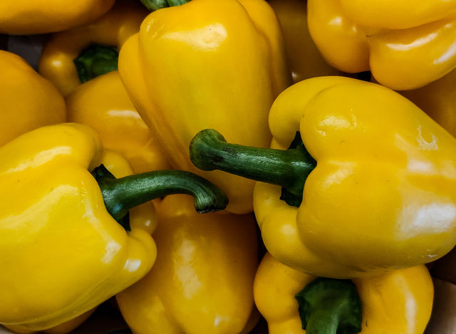 capsicum