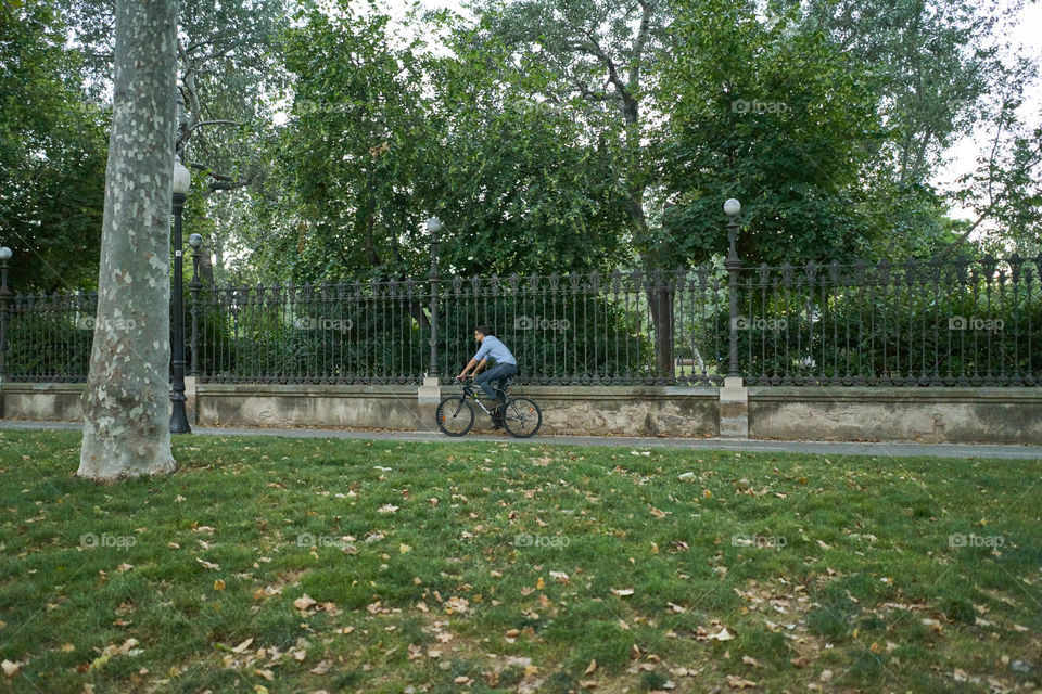 Pedaleando en el parque una tarde de primavera. 