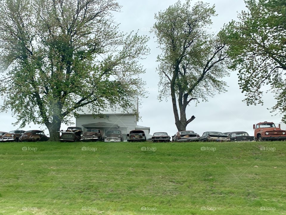 Many antique vehicles lined up on a hill under trees by a farmhouse 