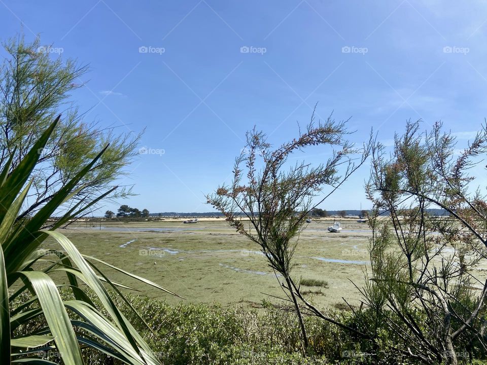 Boat at low tide of the beach