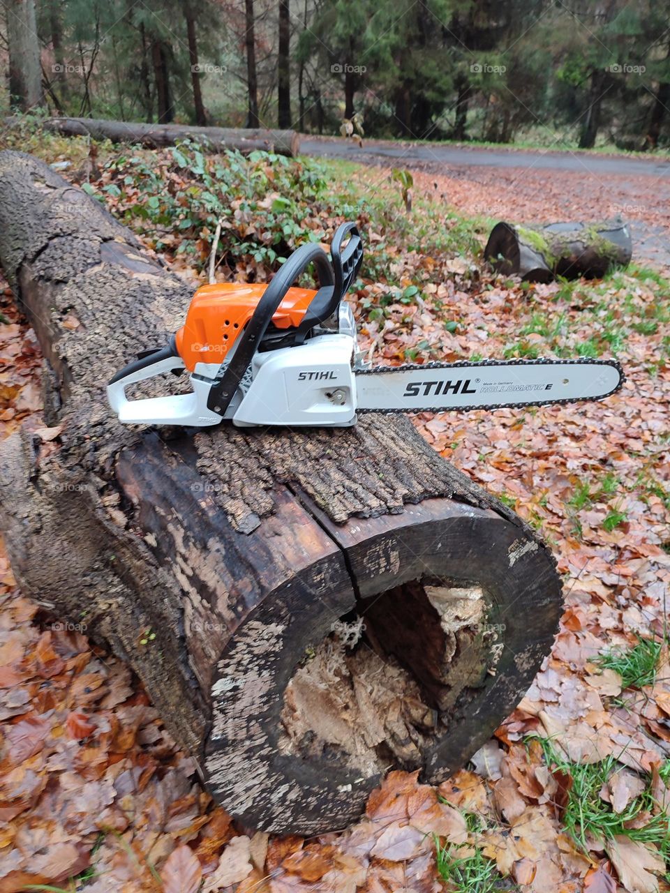 Chainsaw
