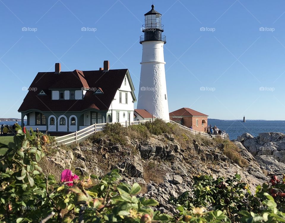 Maine Lighthouse 