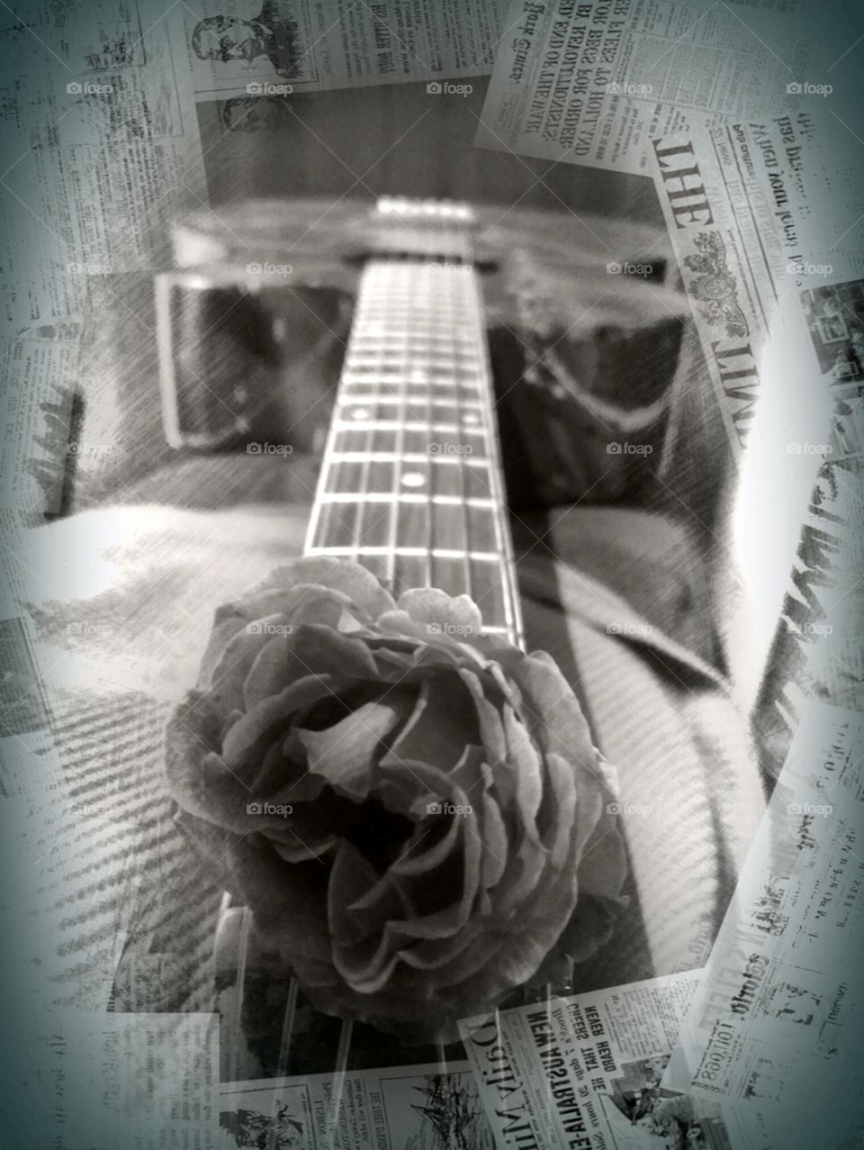 Guitar with rose