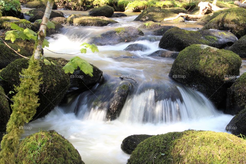 Rapids on the River Bovey