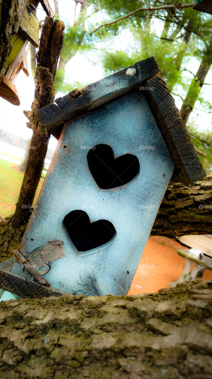 Birdhouse