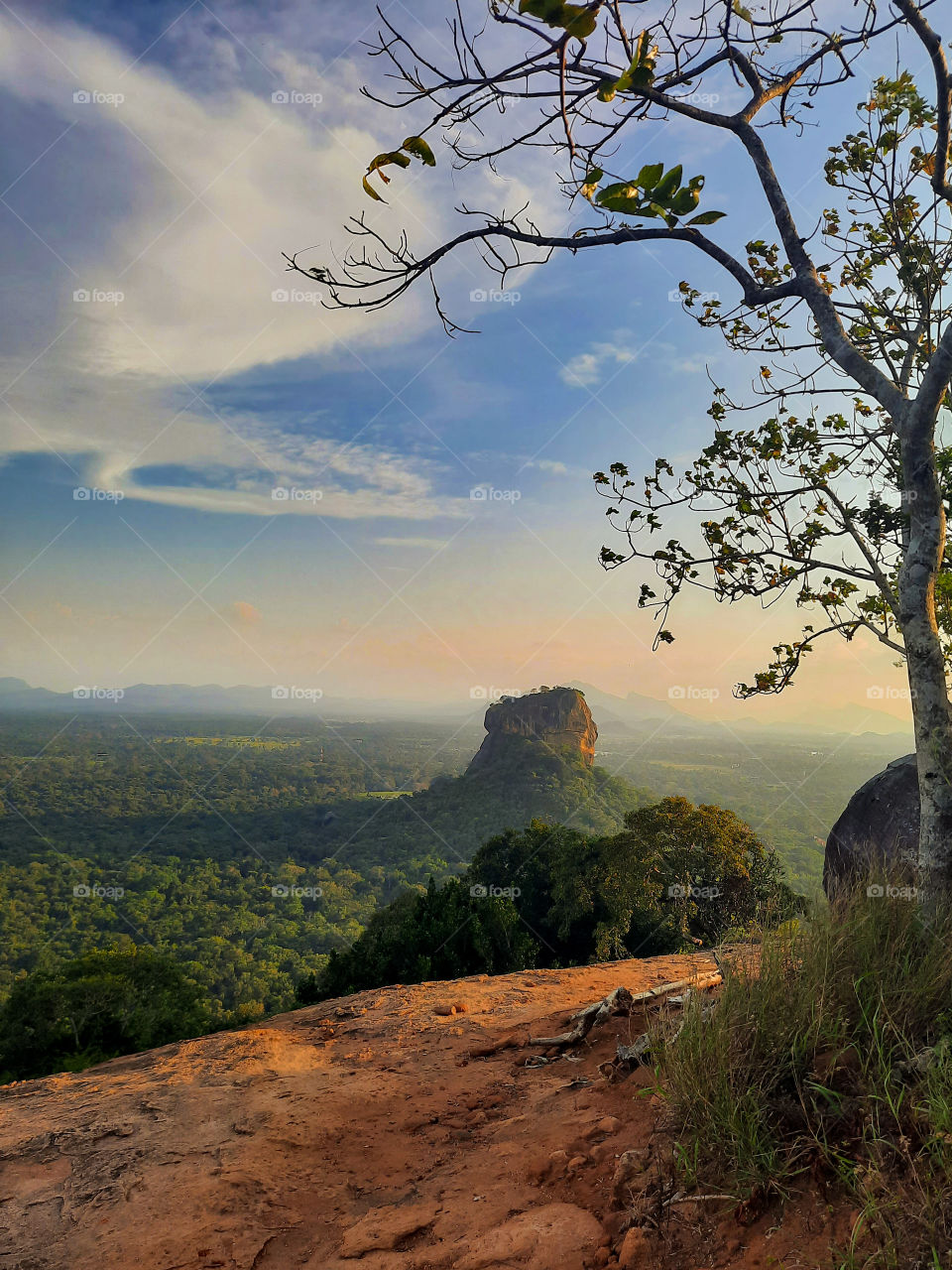 Sigiriya Rock Fortress, a UNESCO heritage site in its glory. Scenic evening views from the Pidurangala Rock with lush greenary and breathtaking views.