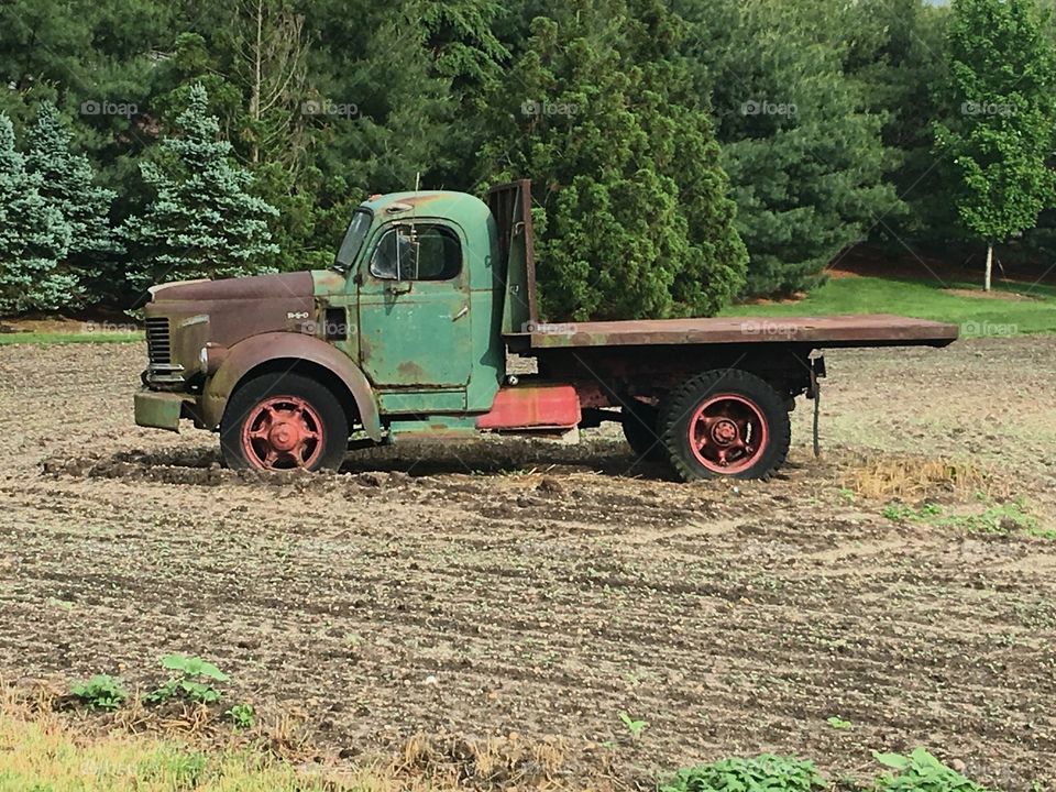 Vintage farm truck driven into the ground 
