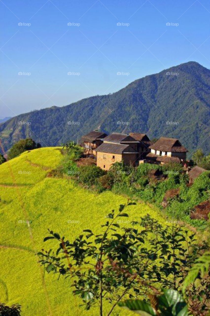 The life and Times of Nepal