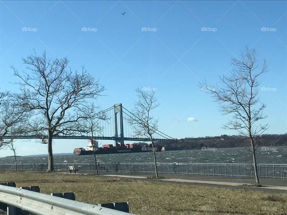 Verrazano Bridge