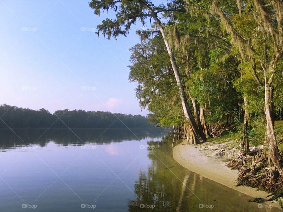 Suwannee River Landing