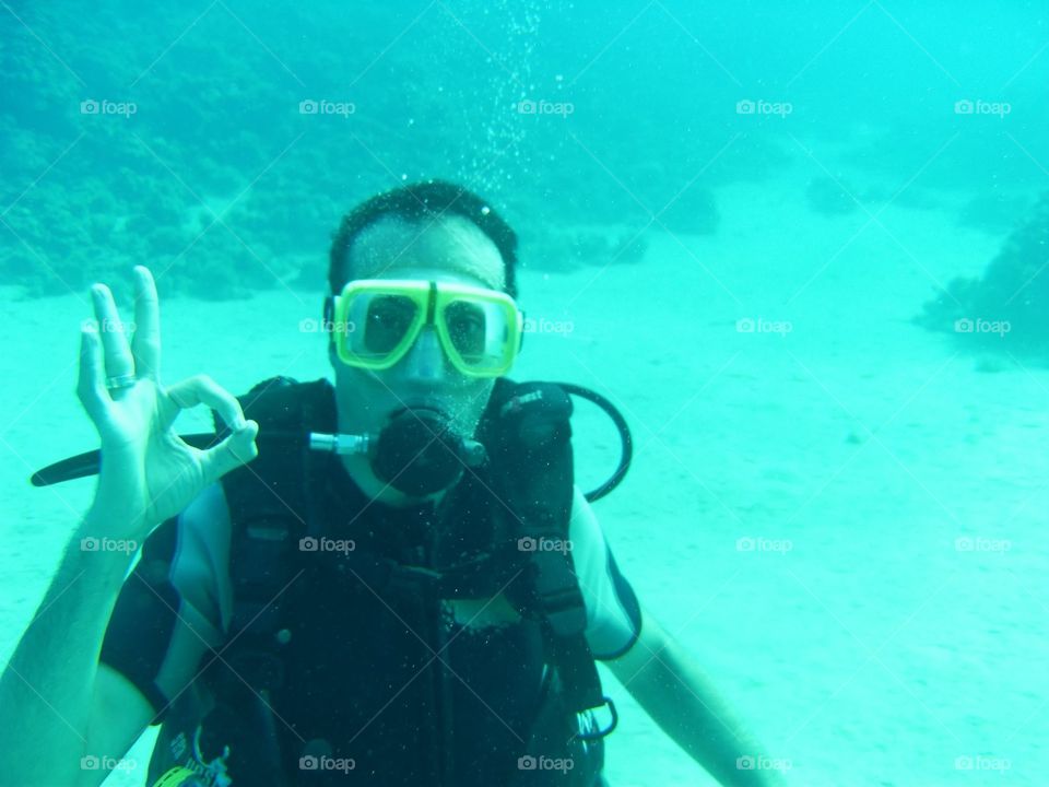 Diving into the Red Sea