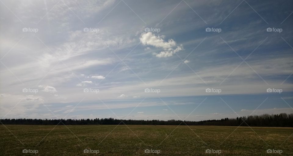 Field sky horizon