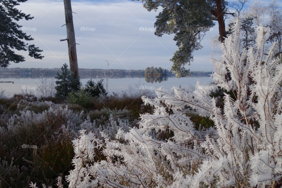 Scenic view of winter