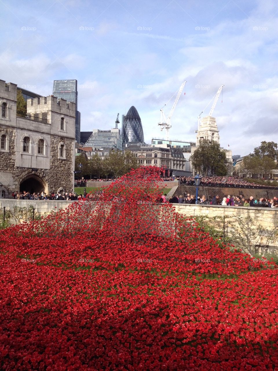 Blood Swept Lands And Seas Of Red