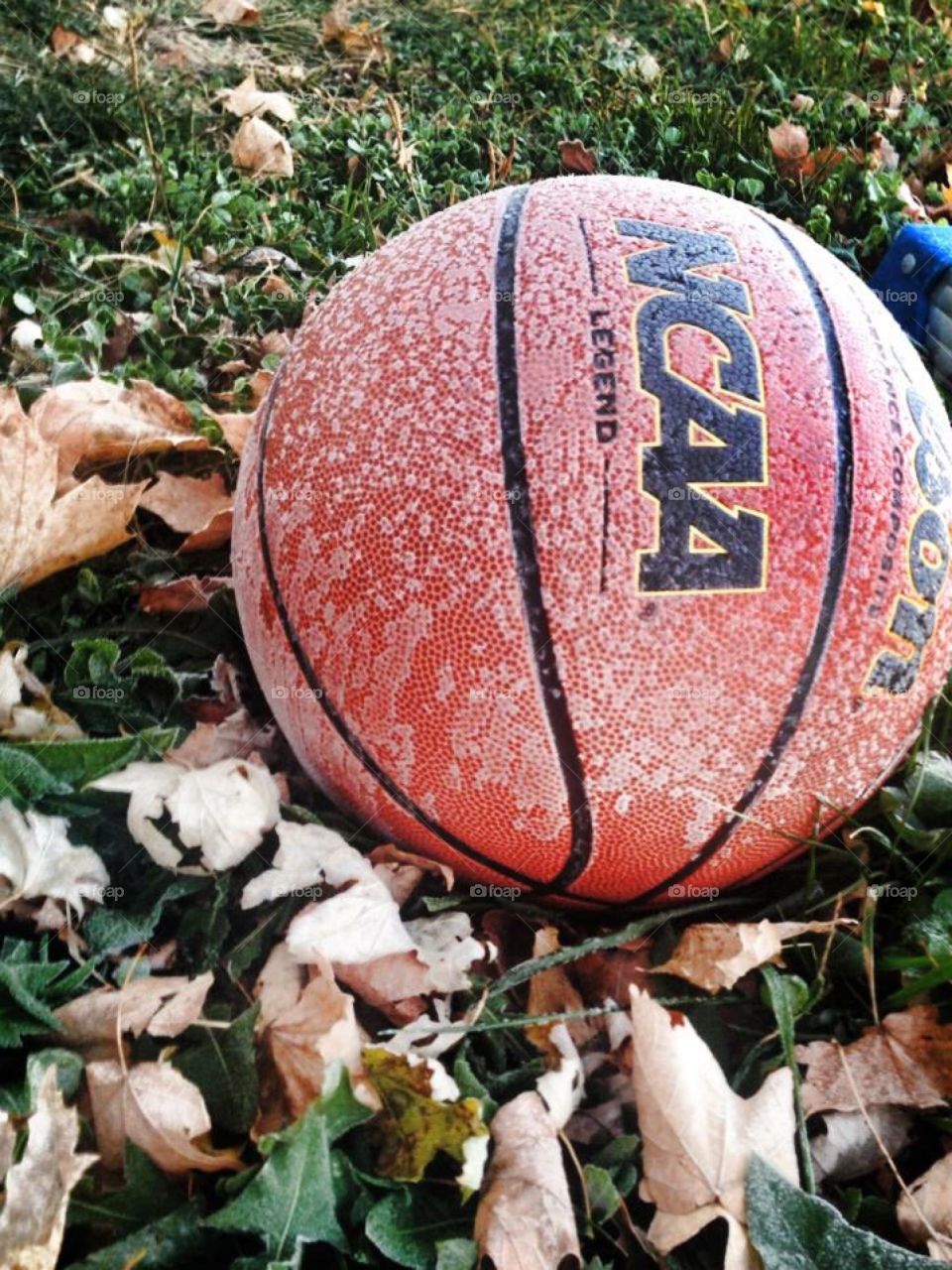 Frost on the basketball 