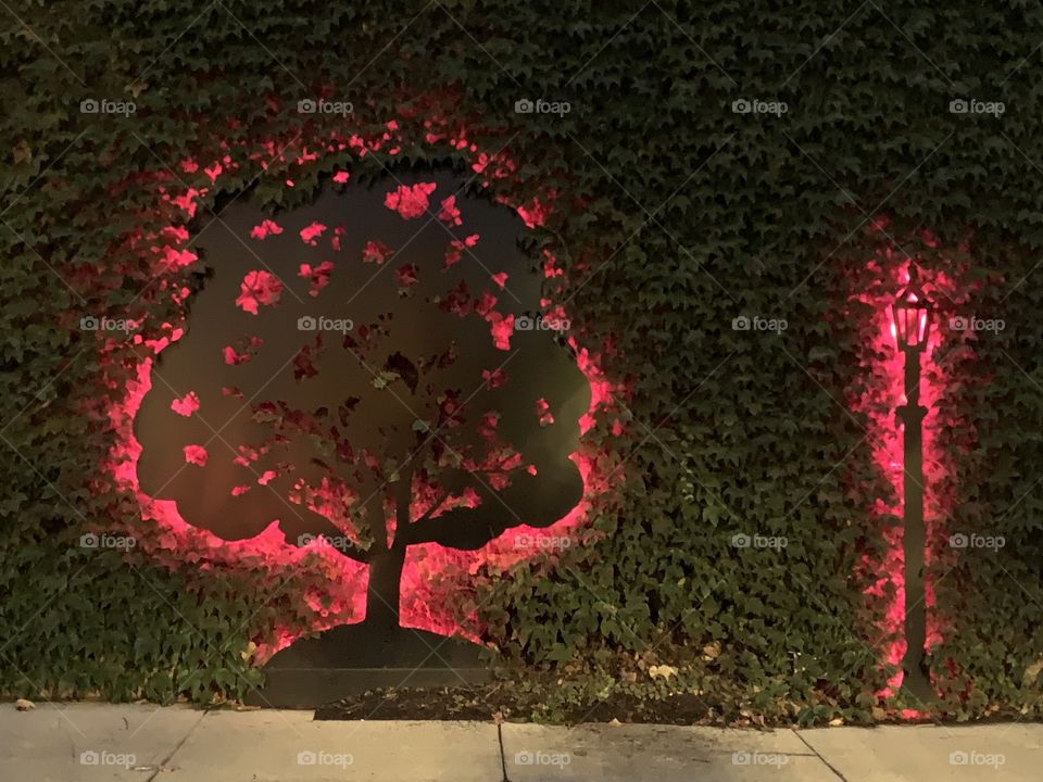 A bit of iron work at the local mall, back lit for a cool effect. Tree and street light. 