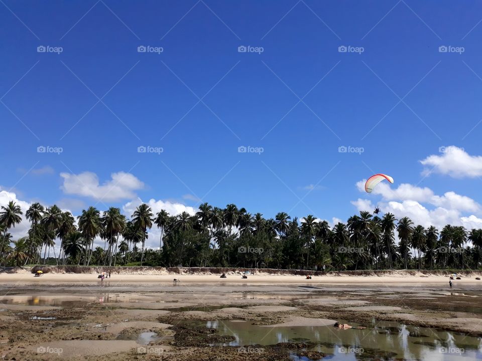 Landscape of the beach of Paiva in Pernambuco, Brazil.