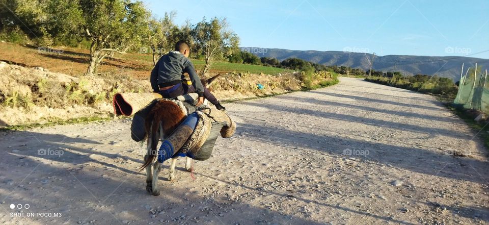 a young boy on donkey.