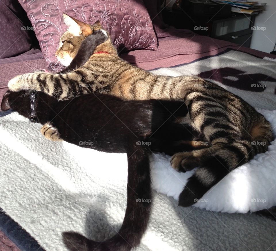 Zoe and Rosie playing together