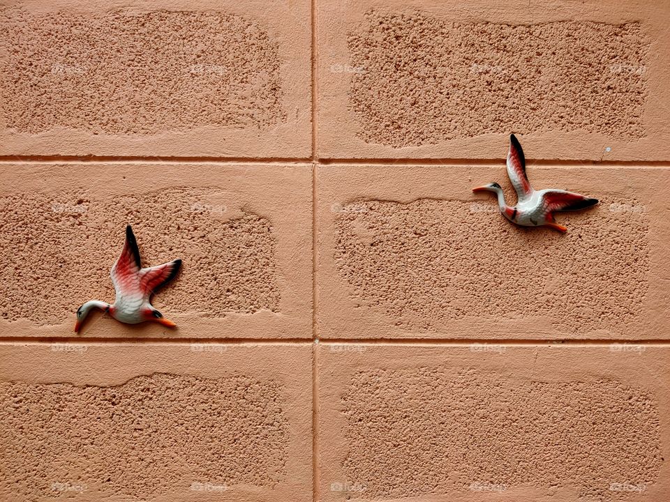 Decorate the walls with birds made of plaster.
