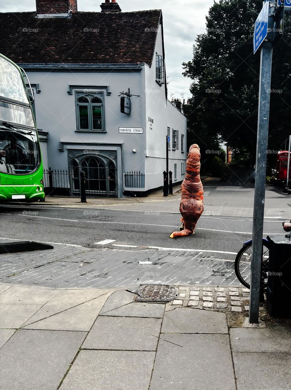 Dinosaur crossing the road