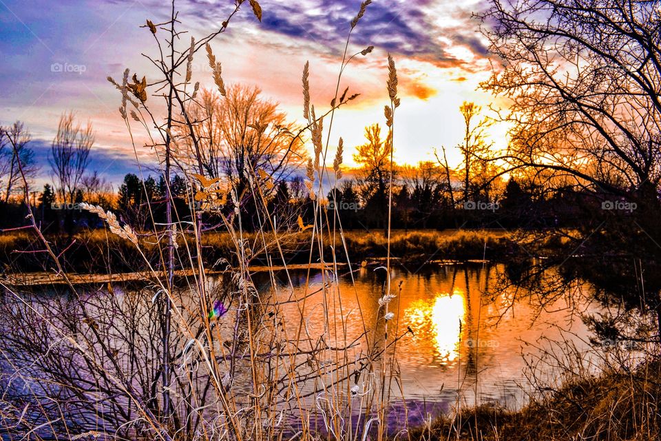 Sunset on a pond