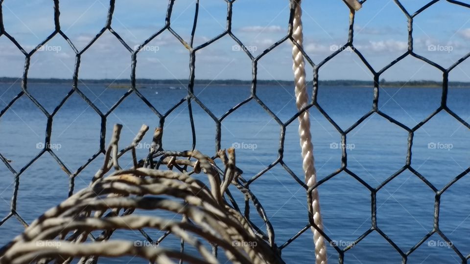 View from inside metal crab cage