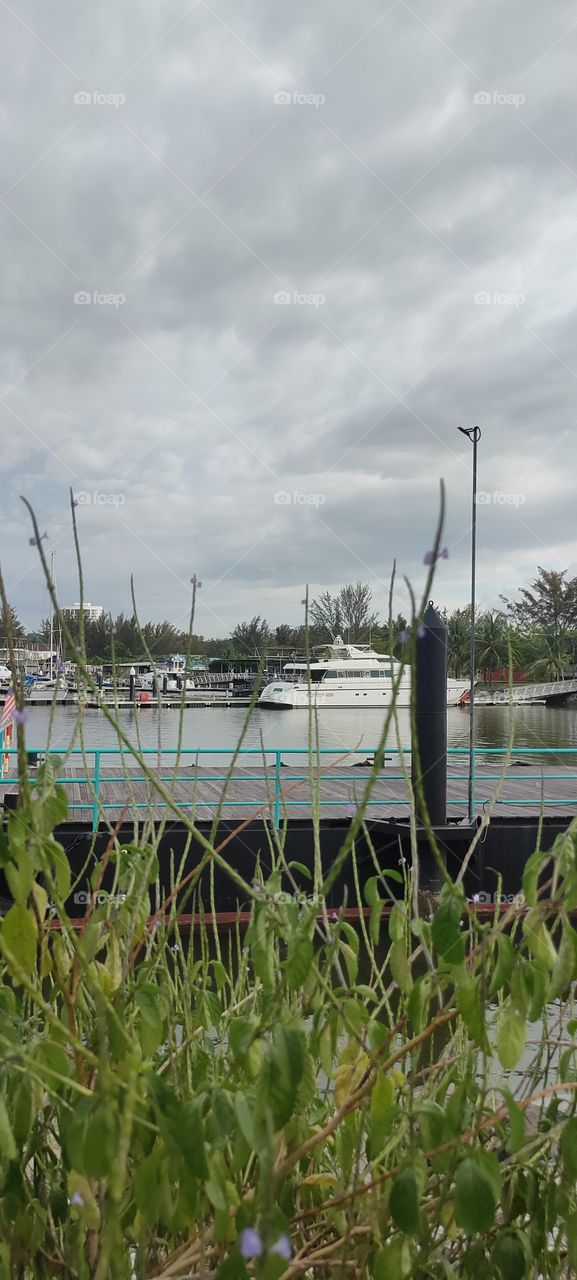 harbor scenery in the afternoon