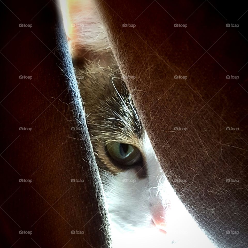 I'll be watching you