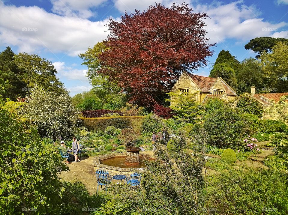 Garden. Stately home 