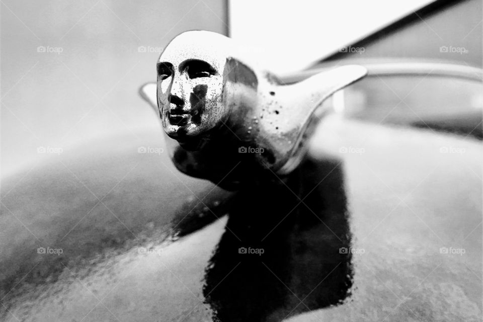 A classic Cadillac hood ornament looks forward to a renewed life as it sits in a junk yard