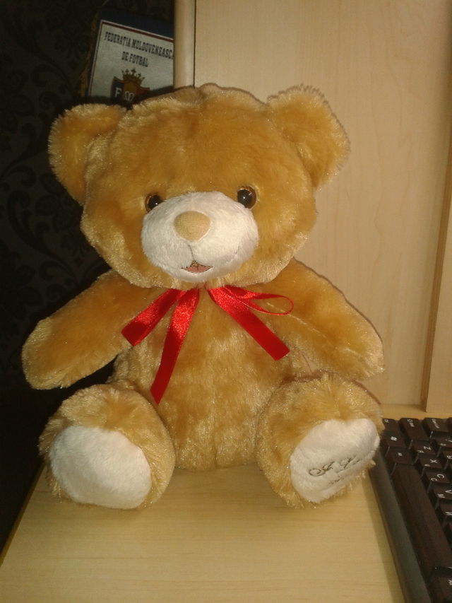 Bear