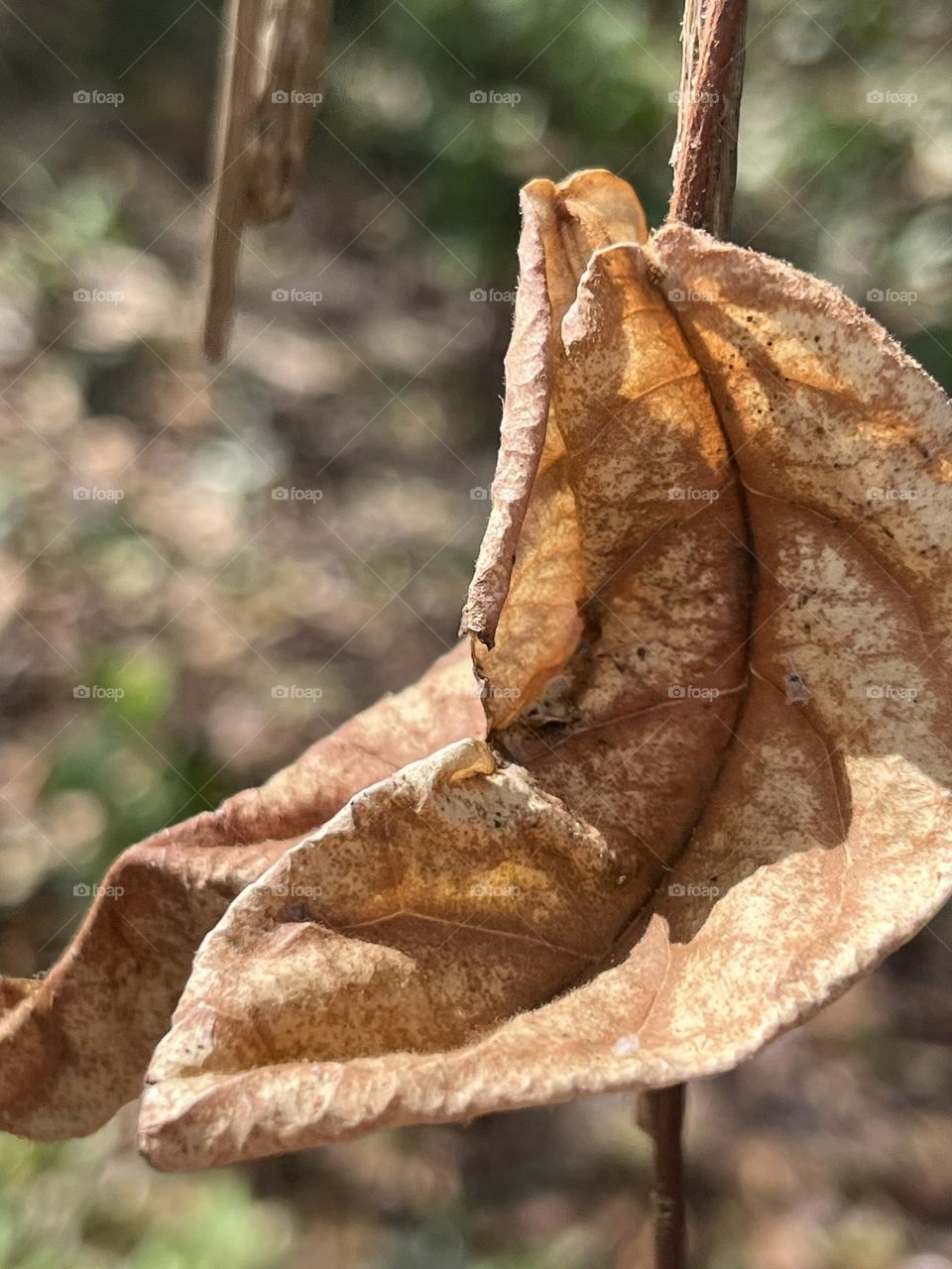  📷Colour Explosion 🔴