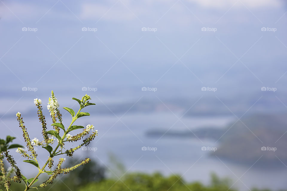 White flower Background Blurry image of Sri Nakarin dam , Kanchana buri in Thailand.