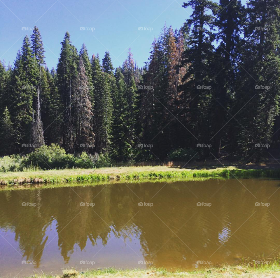 Summer has been good to us, sad to see it go