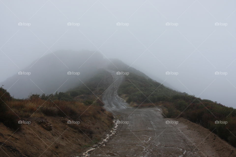Foggy road 