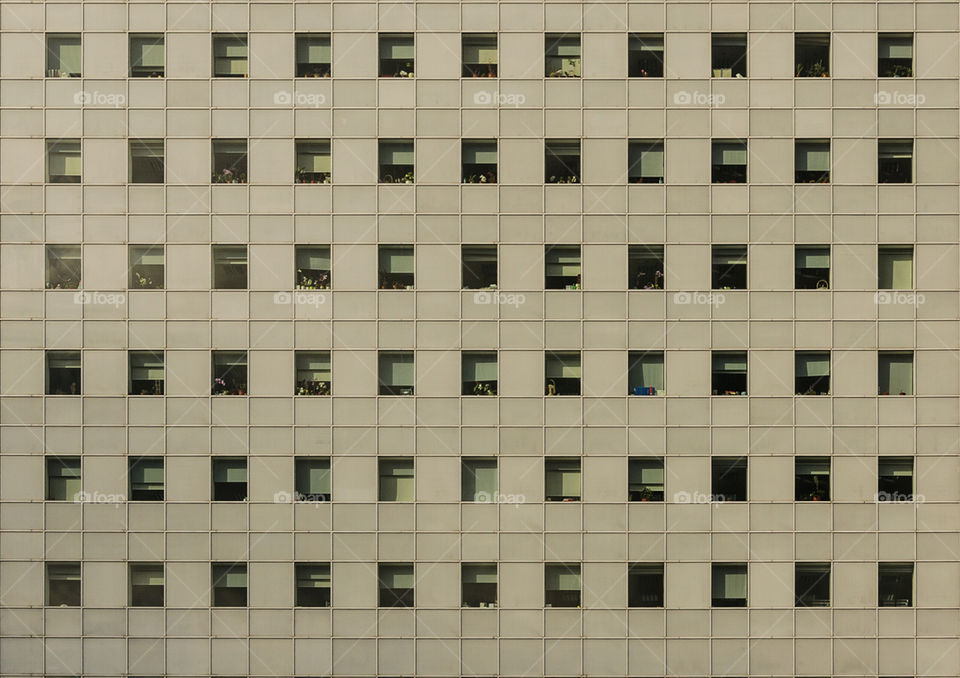 Windows