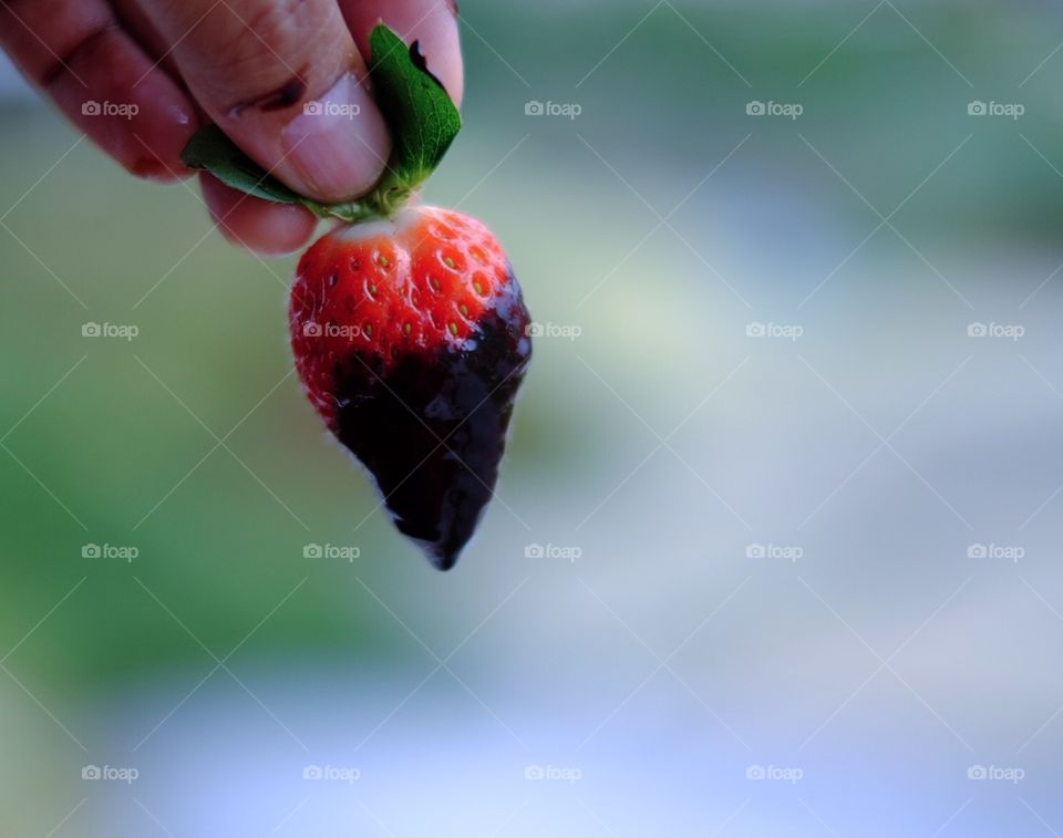 Cho Strawberry 
 