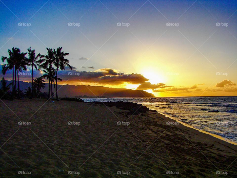 Hawaiian coastline sunset