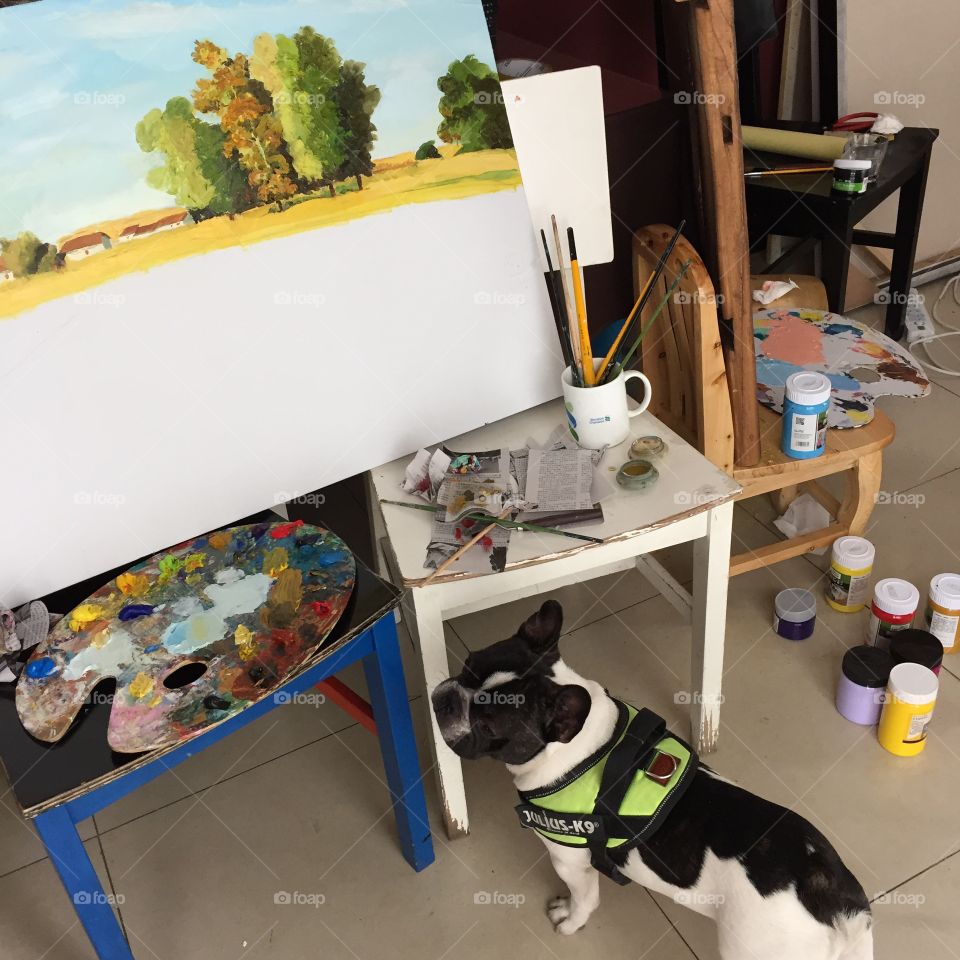the dog and the painting