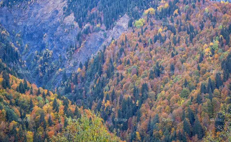 Colorful autumn scene of mountain scape along the way in Georgia 