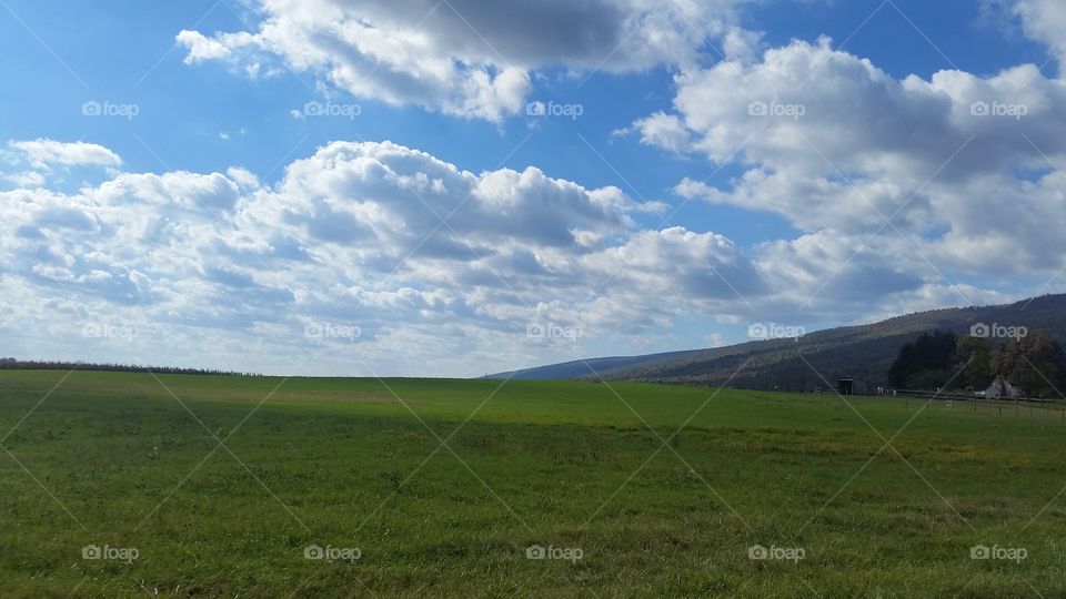 Landscape, No Person, Sky, Grass, Grassland