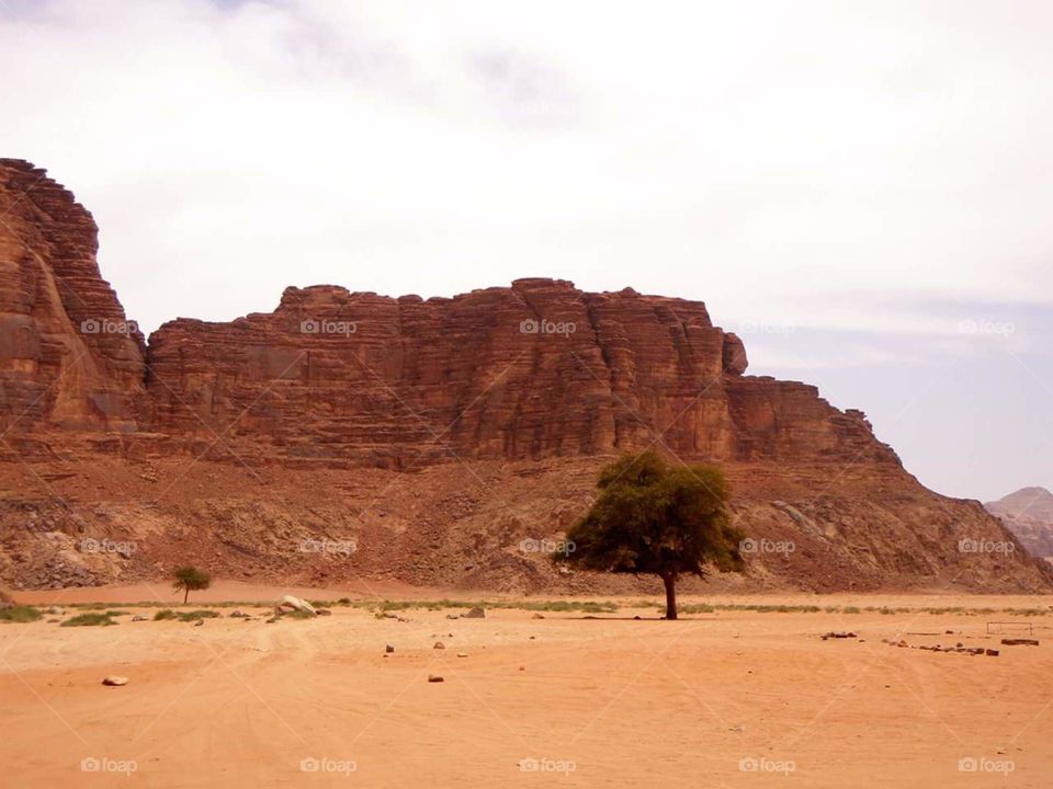 Desert, Sandstone, Travel, Sand, Canyon