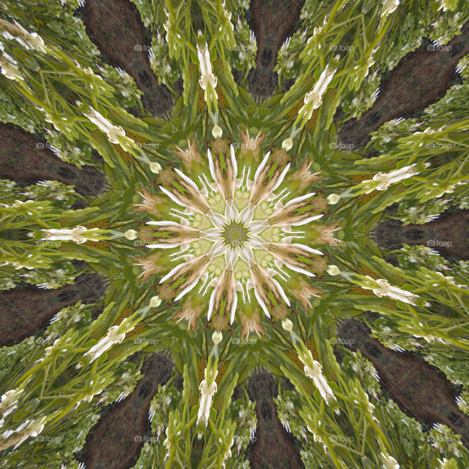 floral kaleidoscope design
