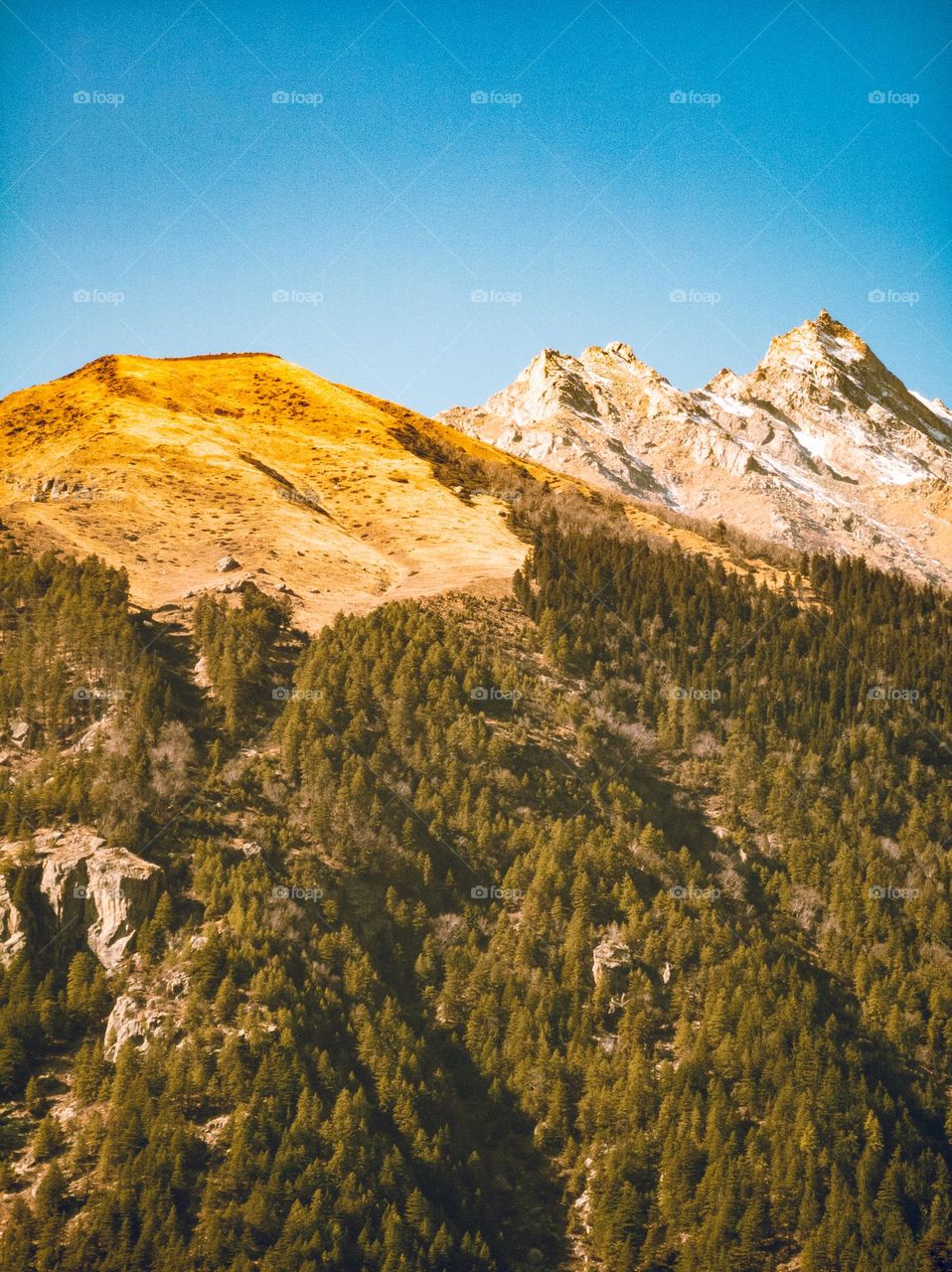 beautiful winter season